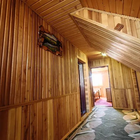 Mini-hôtel Korona Karpat *